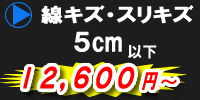 線キズ・スリキズ　5cm以下
