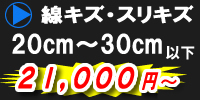 線キズ・スリキズ　20cm～30cm以下