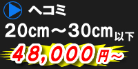 ヘコミキズ　20～30センチ以下